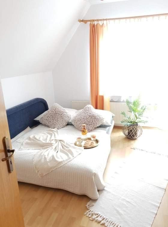 זקופאנה Apartament Dominik מראה חיצוני תמונה