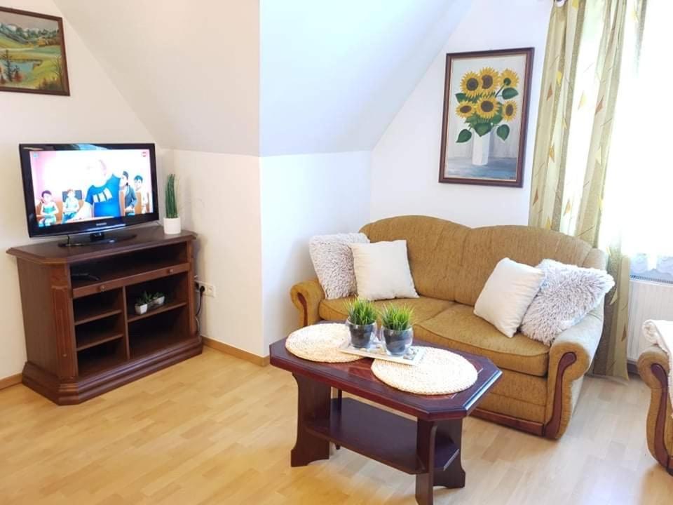 זקופאנה Apartament Dominik מראה חיצוני תמונה