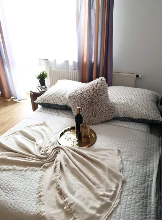 זקופאנה Apartament Dominik מראה חיצוני תמונה