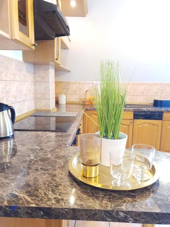 זקופאנה Apartament Dominik מראה חיצוני תמונה