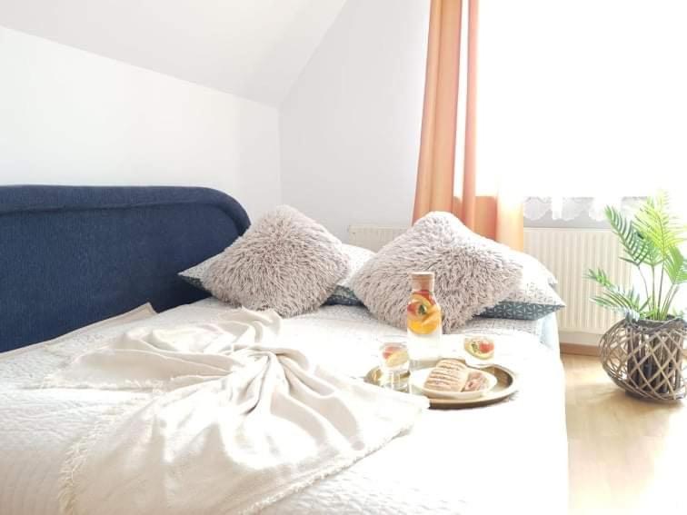 זקופאנה Apartament Dominik מראה חיצוני תמונה